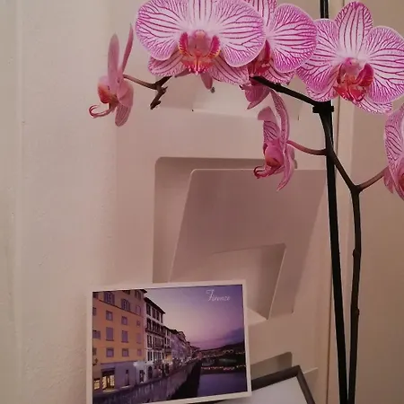 Residenza Il Maggio *