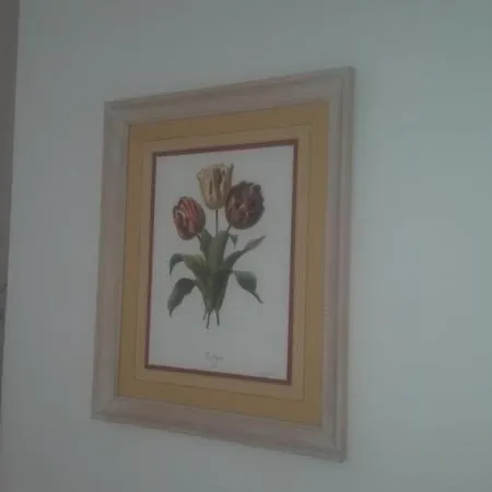 Guest house Duilio