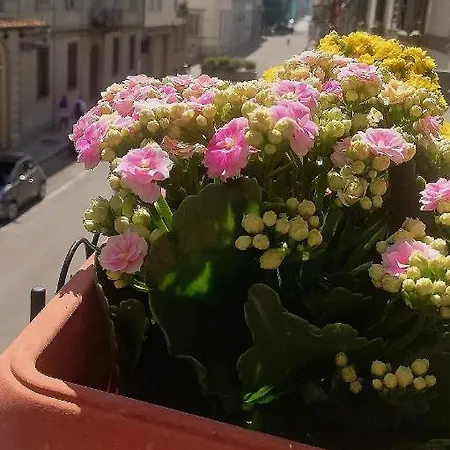 Duilio * Florencie